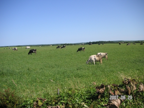 s_PICT0466.jpg